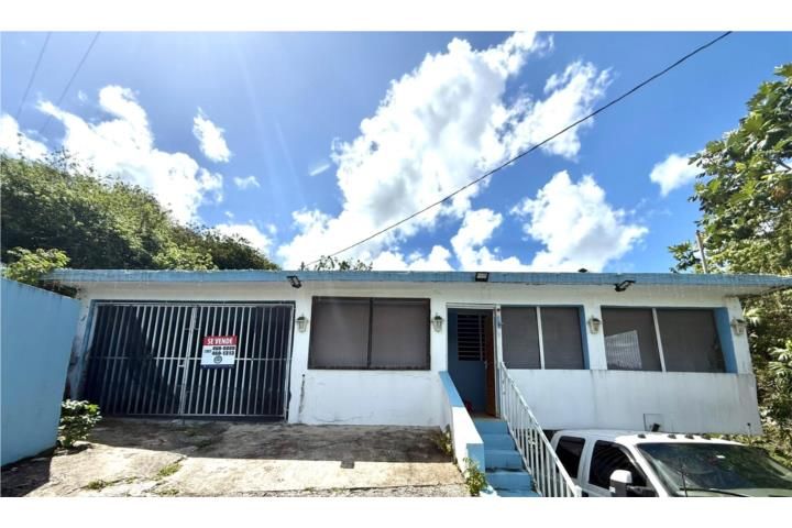 C. Lirios Juncos 00729 PR