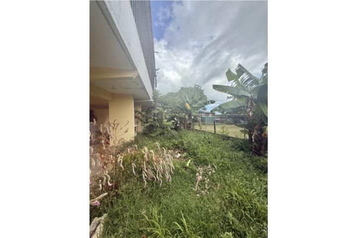 Hc 04 Box 4867 Humacao 00791 PR