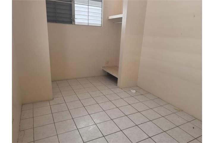 4r4v+rw4 La Ley Cayey 00736 PR