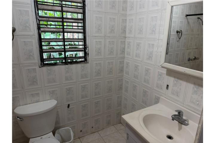 Mula Aguas Buenas 00703 PR
