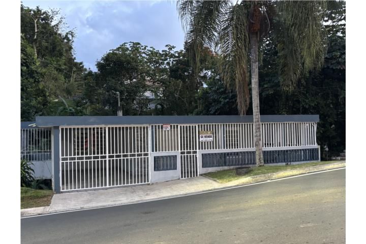 Mula Aguas Buenas 00703 PR