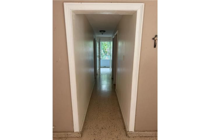 Mula Aguas Buenas 00703 PR