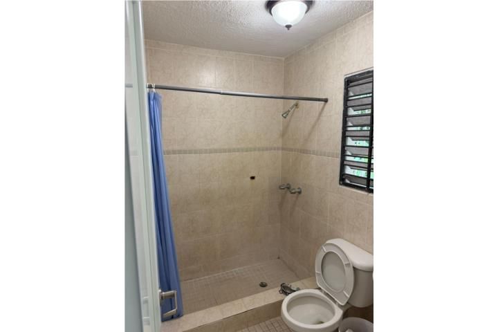Mula Aguas Buenas 00703 PR