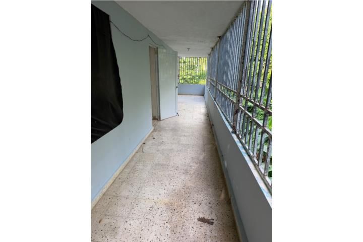 Mula Aguas Buenas 00703 PR