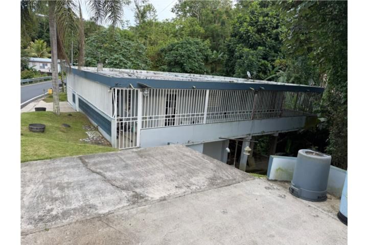 Mula Aguas Buenas 00703 PR
