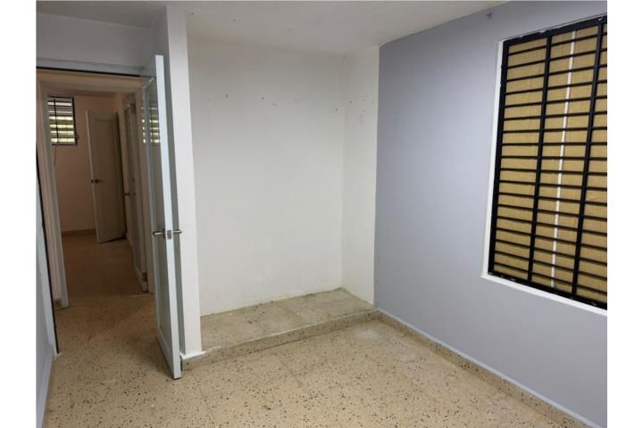 Mula Aguas Buenas 00703 PR