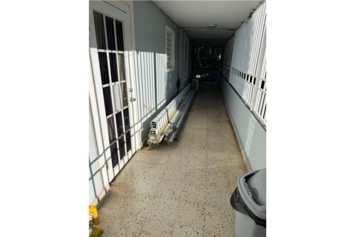 Mula Aguas Buenas 00703 PR