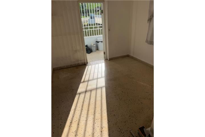 Mula Aguas Buenas 00703 PR