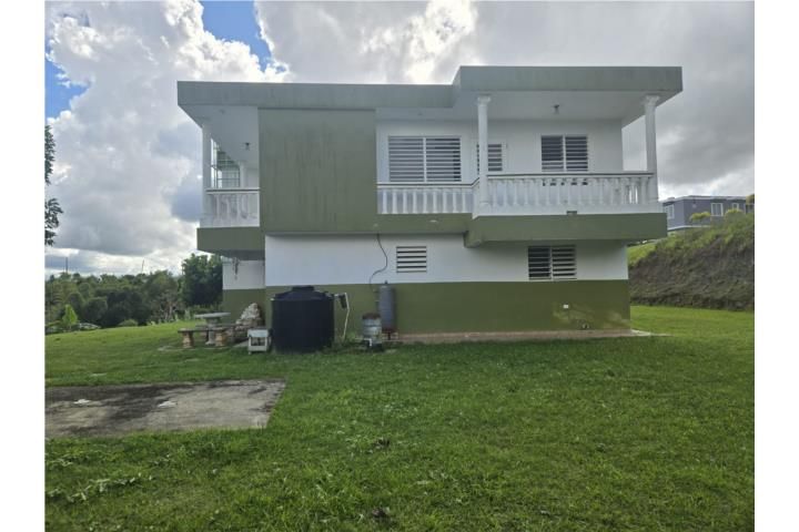Doña Elena Comerio 00782 PR