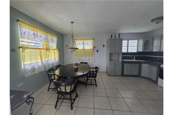 Doña Elena Comerio 00782 PR