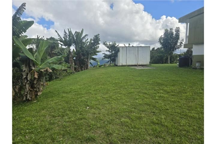 Doña Elena Comerio 00782 PR