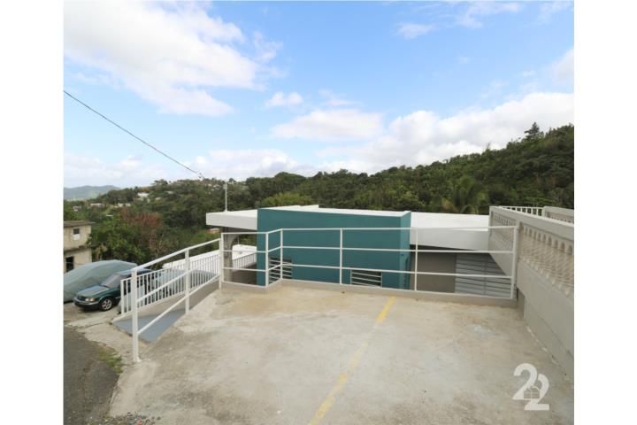 Turabo Arriba Caguas 00727 PR