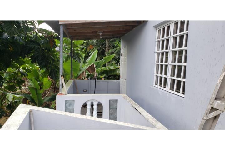 C. Buena Vista Bayamon 00957 PR
