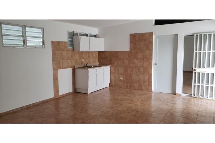 C. Buena Vista Bayamon 00957 PR