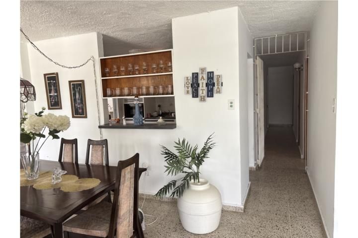 Flamingo Hills Bayamon 00956 PR