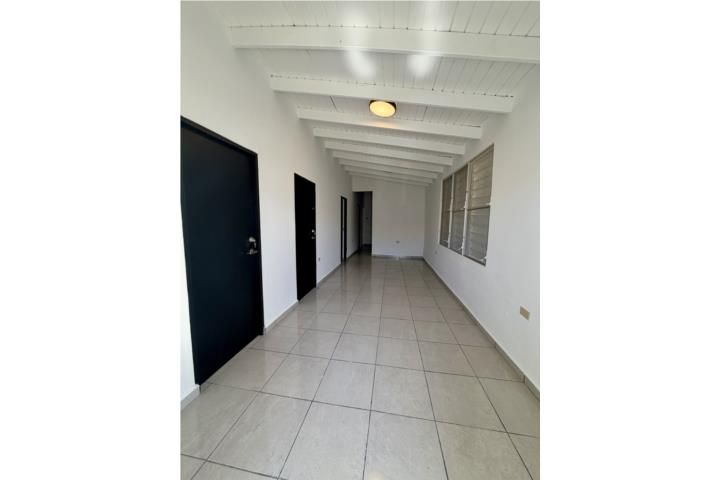 Paris Mayaguez 00680 PR