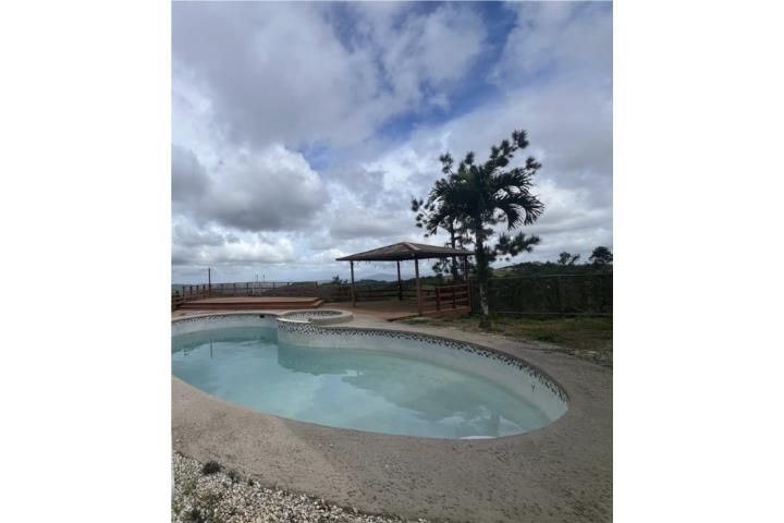 Robles Aibonito 00705 PR