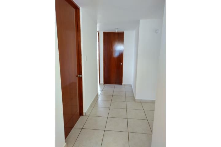 Calle Principal Luquillo 00773 PR