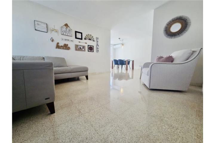 Victor Braegger Guaynabo 00966 PR