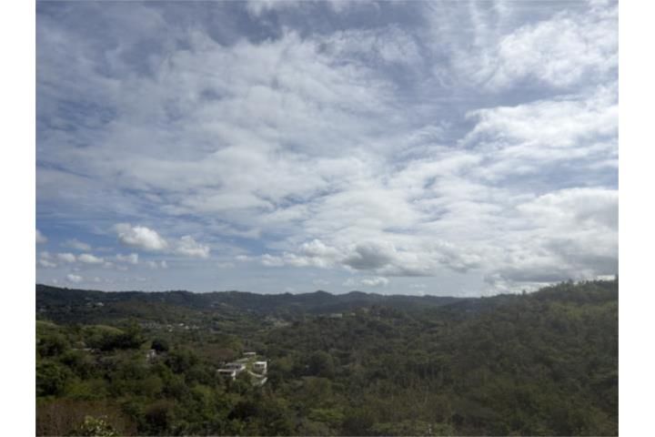 4rgc+9pp Cayey 00736 PR