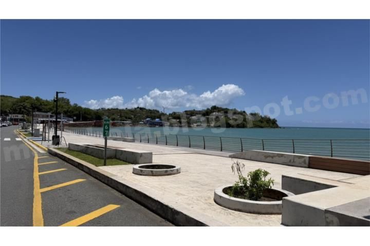 Santiago Y Lima Naguabo 00718 PR