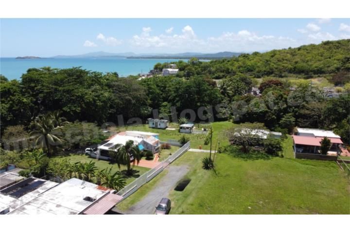 Santiago Y Lima Naguabo 00718 PR