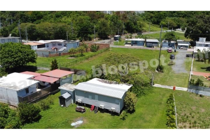 Santiago Y Lima Naguabo 00718 PR