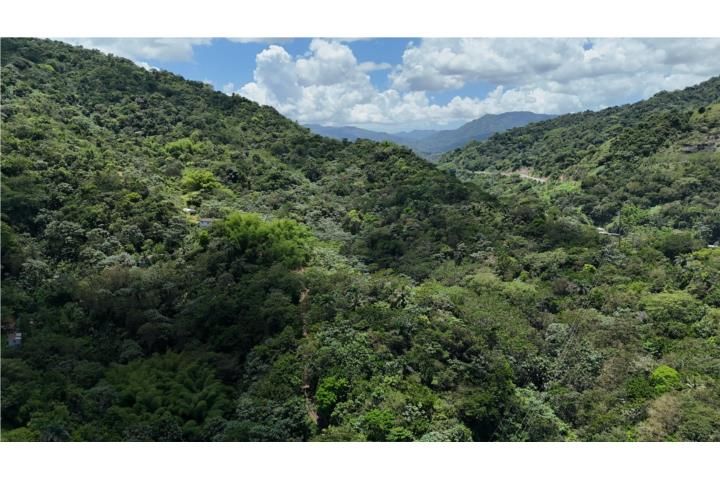 Río Abajo Utuado 00641 PR