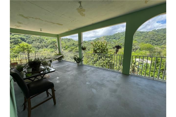 Río Abajo Utuado 00641 PR