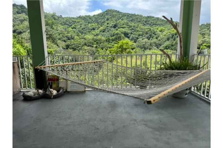Río Abajo Utuado 00641 PR