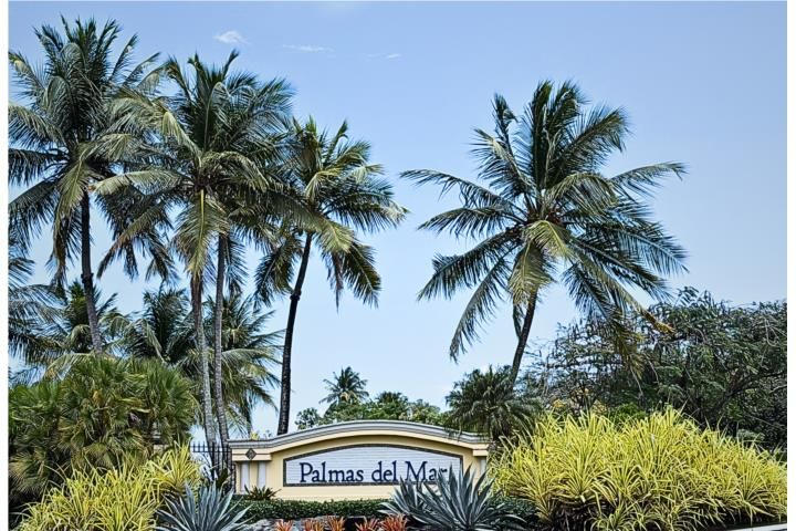 Palmas Del Mar Humacao 00791 PR