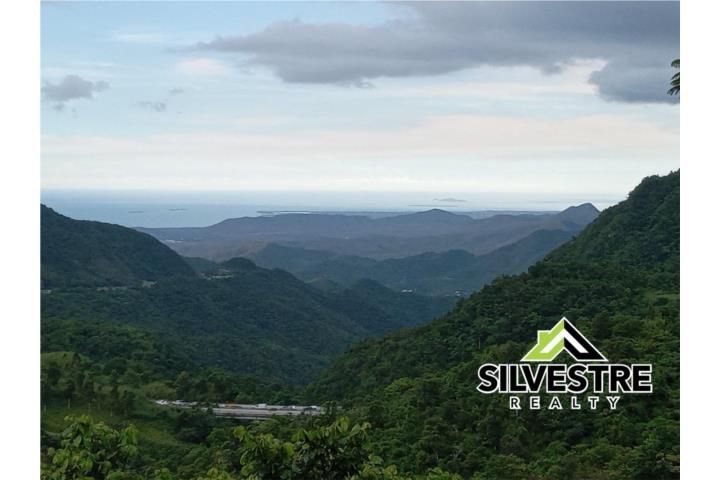 Cercadillo Cayey 00736 PR