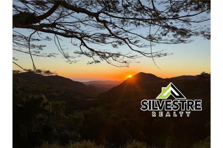 Cercadillo Cayey 00736 PR