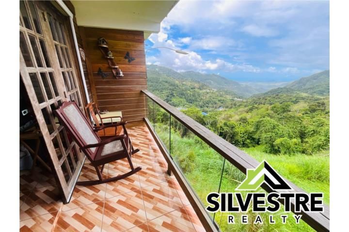 Cercadillo Cayey 00736 PR