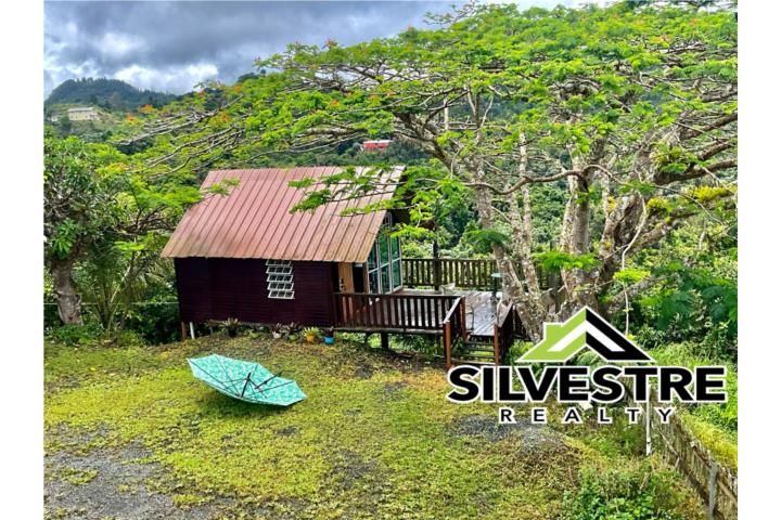 Cercadillo Cayey 00736 PR