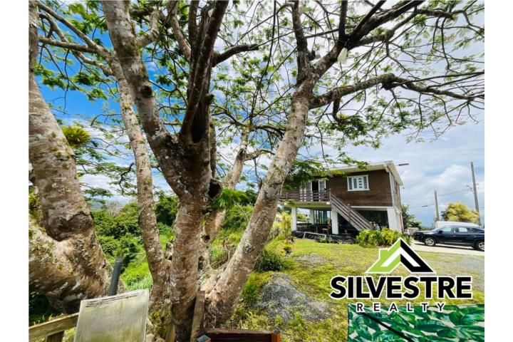 Cercadillo Cayey 00736 PR