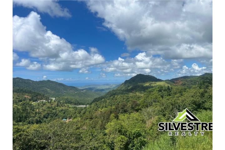 Cercadillo Cayey 00736 PR