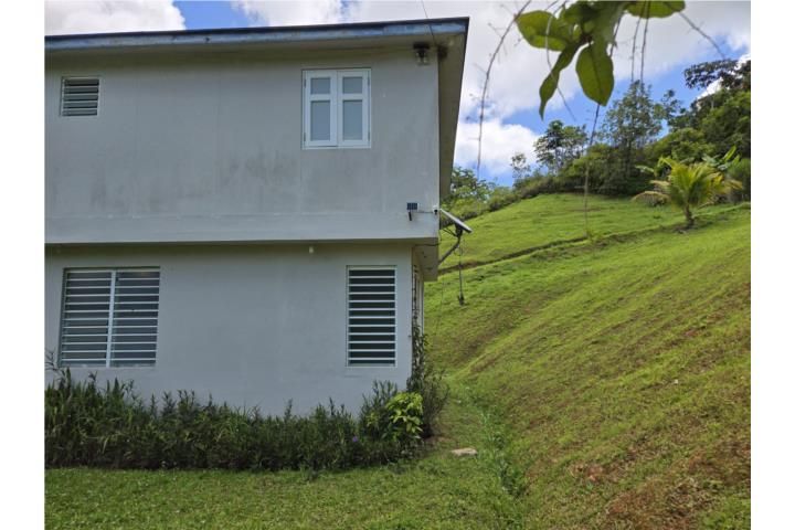 Anones Naranjito 00719 PR