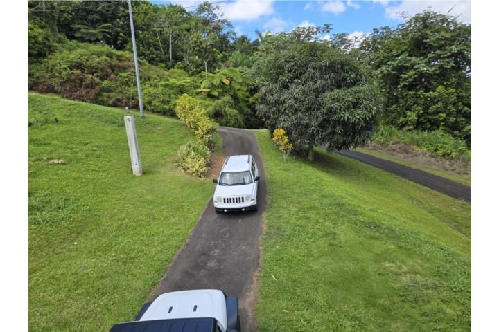 Anones Naranjito 00719 PR