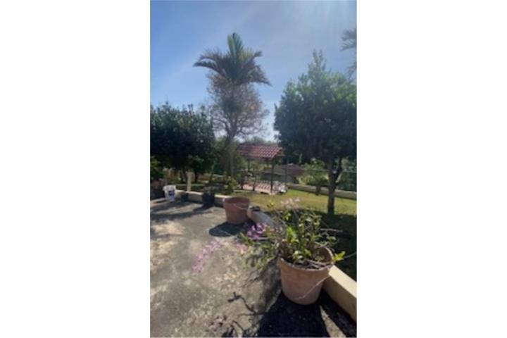 Carrizales Hatillo 00659 PR