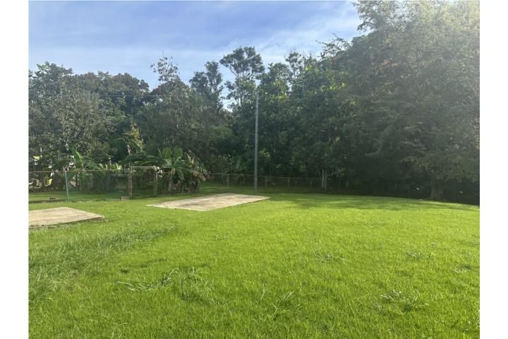 Campo Alegre Hatillo 00659 PR