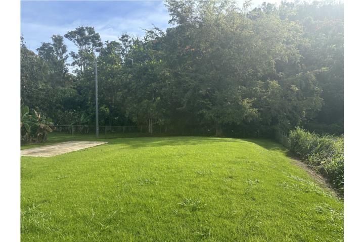 Campo Alegre Hatillo 00659 PR