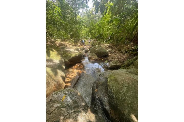 Quebrada Arenas San Lorenzo 00754 PR