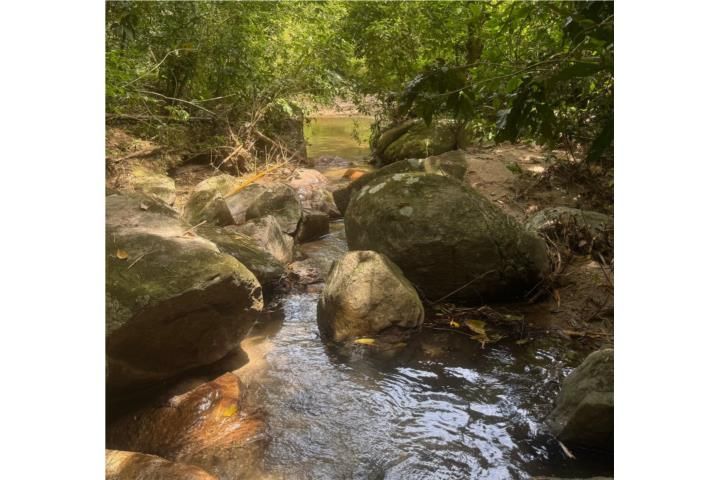 Quebrada Arenas San Lorenzo 00754 PR
