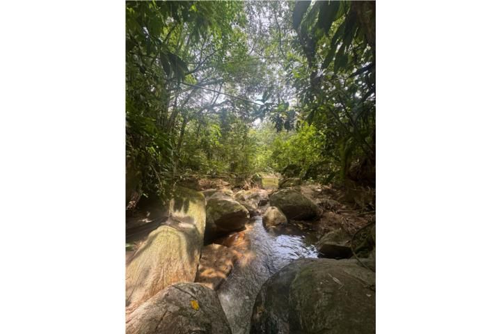 Quebrada Arenas San Lorenzo 00754 PR