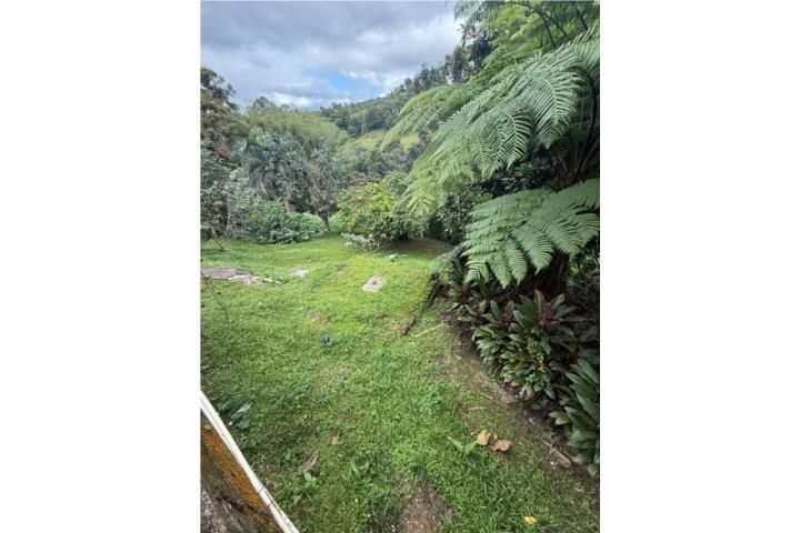 Quebrada Arenas San Lorenzo 00754 PR