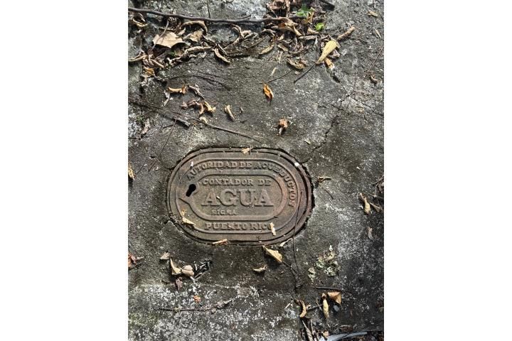 La Morenita Bayamon 00956 PR