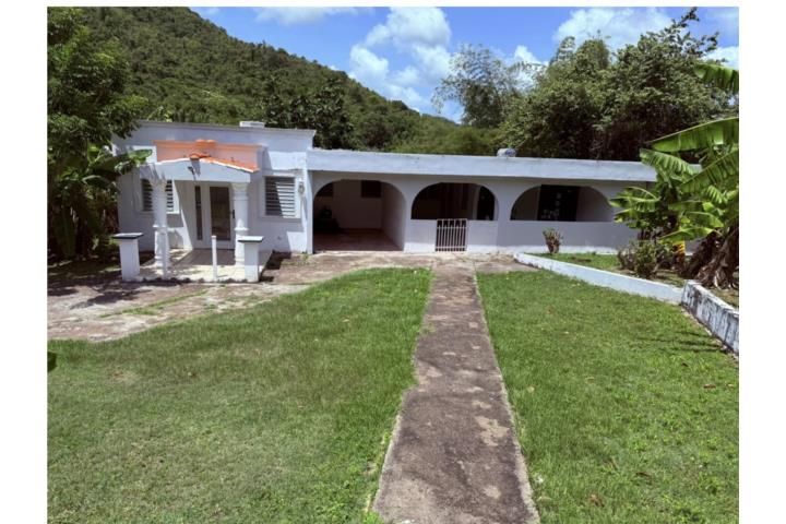Pitahaya Arroyo 00714 PR