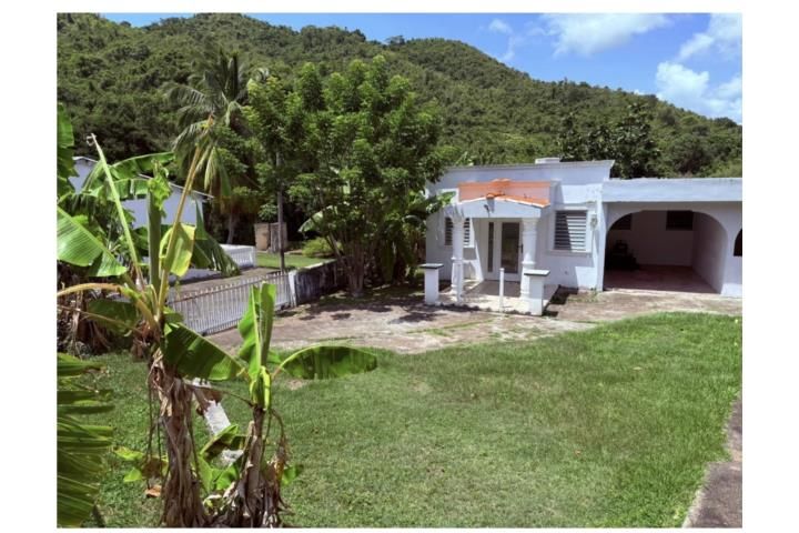 Pitahaya Arroyo 00714 PR