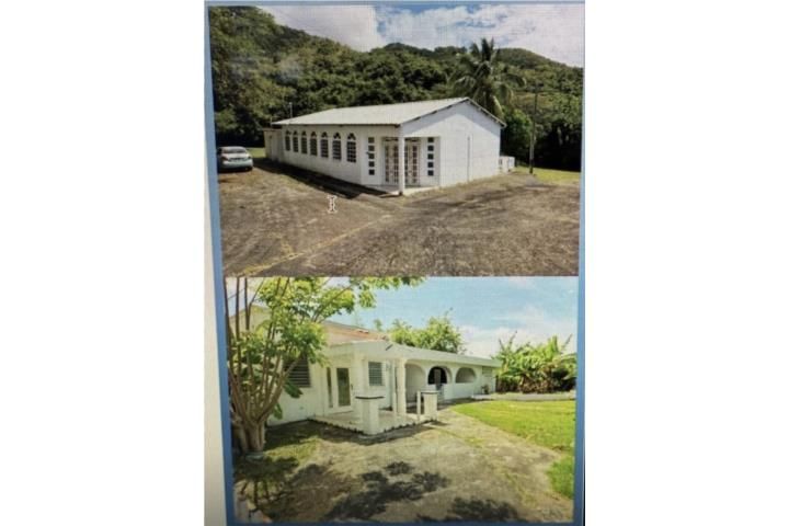 Pitahaya Arroyo 00714 PR